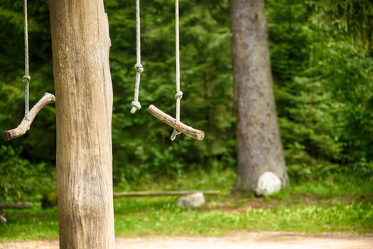 Rustic Wooden Swings Hanging on a Tree in a Forest Setting photo