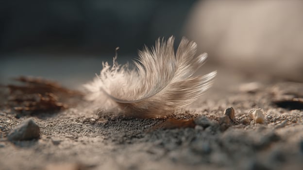 Delicate Soft Feather on Nature Ground Surface Surrounded by Earthy Textures and Stones in Natural Lighting photo