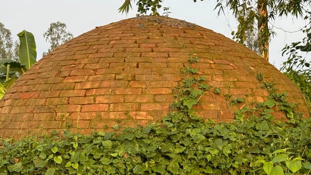 An old domeshaped brick structure is almost entirely covered with creeping green foliage outdoors photo