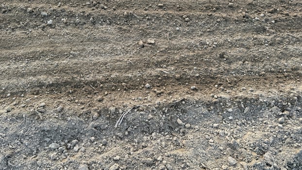 A closeup reveals freshly plowed field soil with rocks and organic matter ready for planting photo