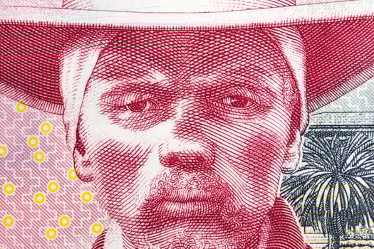 Hendrik Witbooi a closeup portrait from Namibian dollar photo