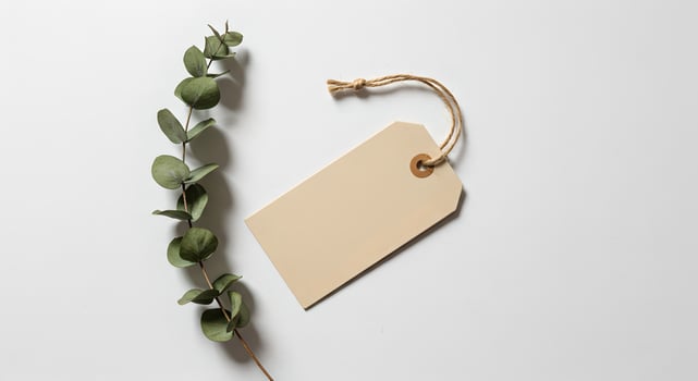 Beige Label Tag with Jute String and Eucalyptus on White. photo