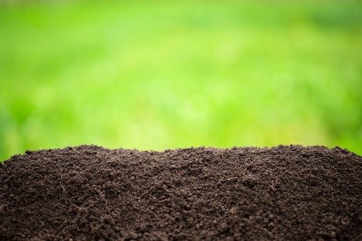 ground heap on green background. black soil with blurred green grass photo