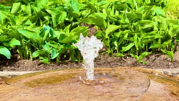 A serene garden with a fountain, lush plants, and tranquil pond photo