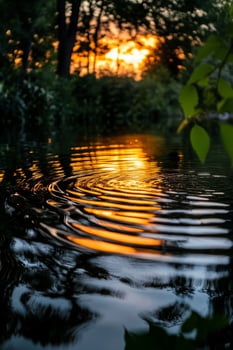 Sunset Reflecting on Calm Water With Ripples in a Serene Natural Setting Near Trees. photo