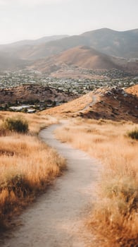 Golden Path Through Dry Grass Leading to Mountains and Town. photo