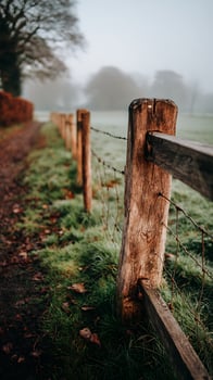 Rustic wooden fence posts line a misty country path in autumn. photo