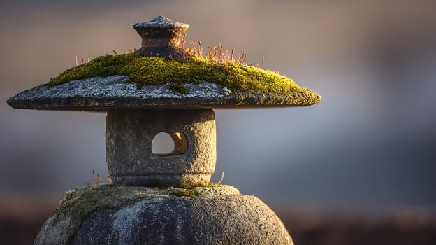 Ancient Stone Lantern Covered in Lush Green Moss and Buds. photo