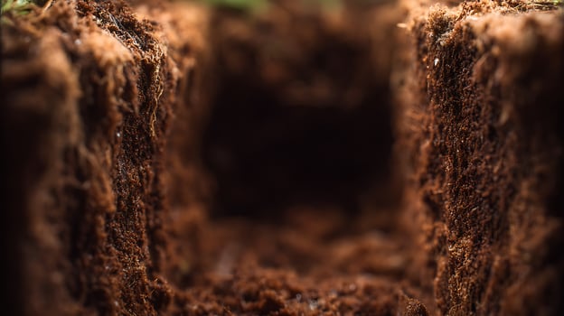 Macro shot of textured brown soil with a dark opening into the earth. photo