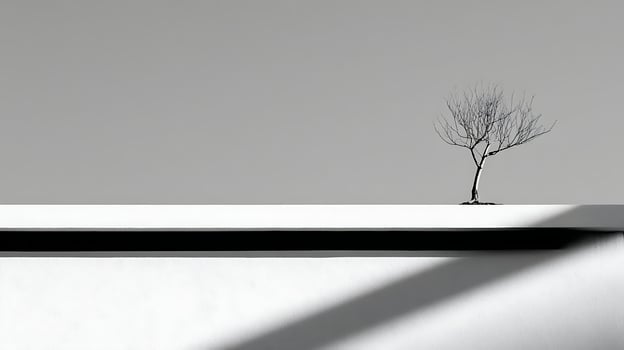 Minimalist bare tree silhouetted against a stark gray sky. photo