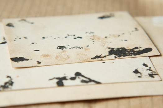 closeup of old photograph on a table photo
