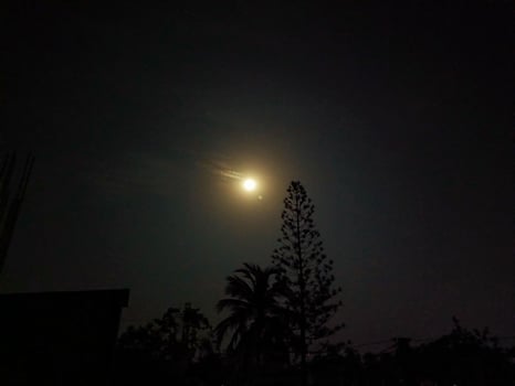 A glowing full moon rises behind silhouetted branches, casting silver light through the still night and creating a quiet, mystical forest scene. photo