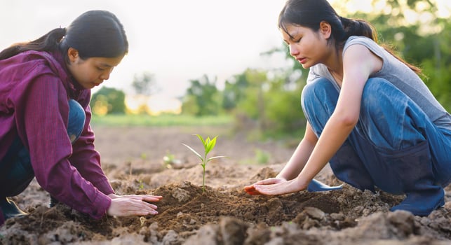 Two women are planting a tree in the dirt photo