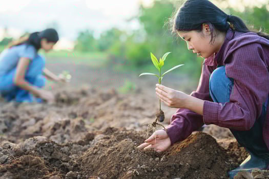 girl is planting a seedling in the dirt photo
