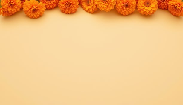 close up view of orange marigolds with tightly packed petals radiating warmth against a flat beige background. photo