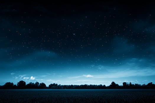 A field with trees and sky at night photo