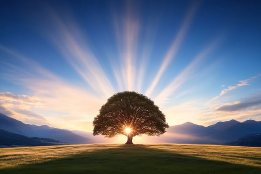 A tree is standing in the middle of a field with sunbeams coming through photo
