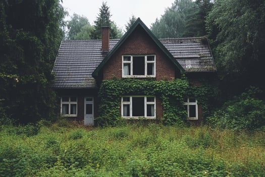 An abandoned house in the woods photo