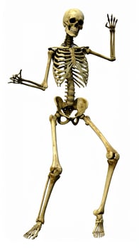 Halloween skeleton dancing over white background, X-ray cheerful human skeleton with fancy poses and moves photo