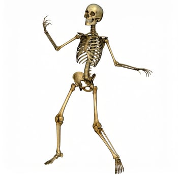 Cheerful skeleton performing dance moves against a plain white backdrop, featuring an X-ray view with stylish poses for Halloween photo