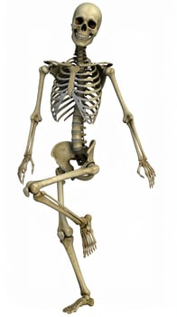 Cheerful human skeleton striking lively poses against a plain white backdrop, with a Halloween-themed X-ray effect photo