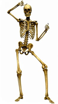 Festive skeleton performing lively dance against a plain white backdrop, showcasing an energetic X-ray image with stylish poses photo