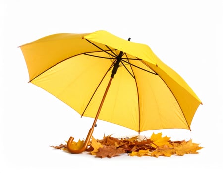 Vivid umbrella surrounded by fall foliage against a plain white backdrop photo