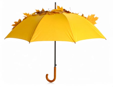 Vivid umbrella adorned with fall foliage against a plain white backdrop photo