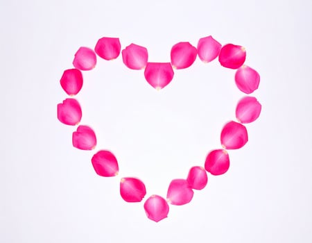 Rose petal heart against a plain white background photo