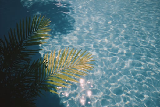 Palm Fronds Over Water Surface photo