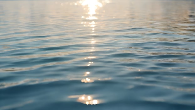 Sunlit Water Surface with Gentle Ripples photo