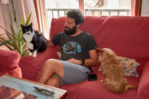 Everyday happiness of an animal lover, posing with a bicolor black cat and a ginger dog at home photo