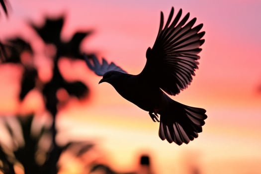 A bird flying in the air at sunset photo