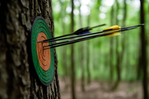 Arrows on a target in the woods photo