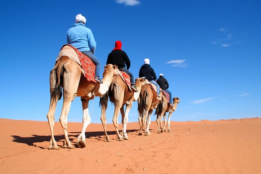 A group of people riding on top of a camel photo