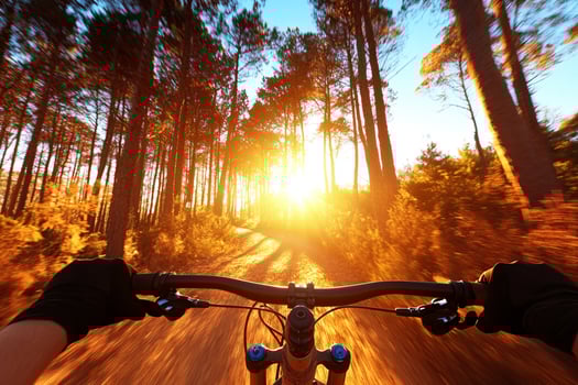 A person riding a bicycle on a trail at sunset photo