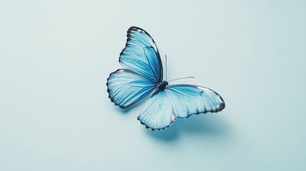 Light blue butterfly on light blue photo