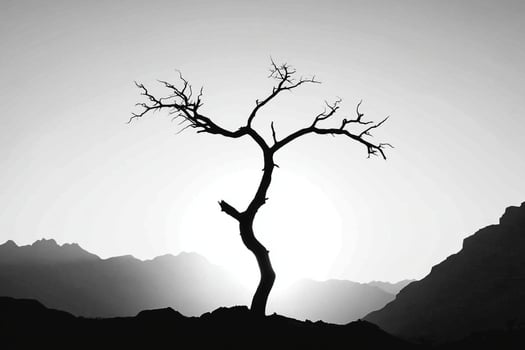 A black and white photo of a tree in the mountains