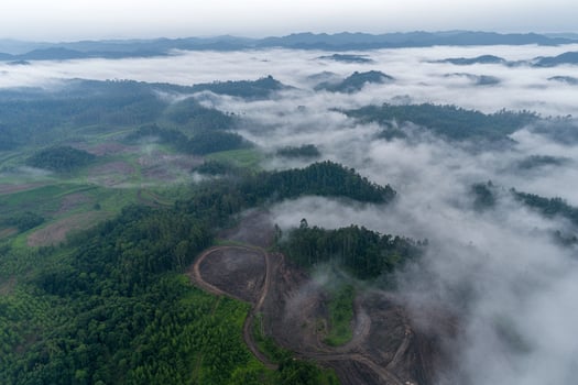 Aerial view of a forested area with low clouds photo