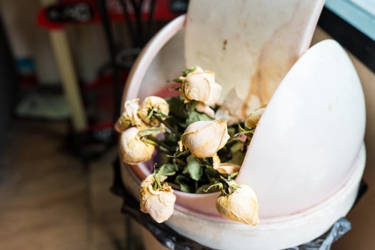 Dry wilted pink rose in a bin photo
