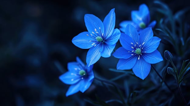 Blue flowers wallpaper hd wallpaper photo