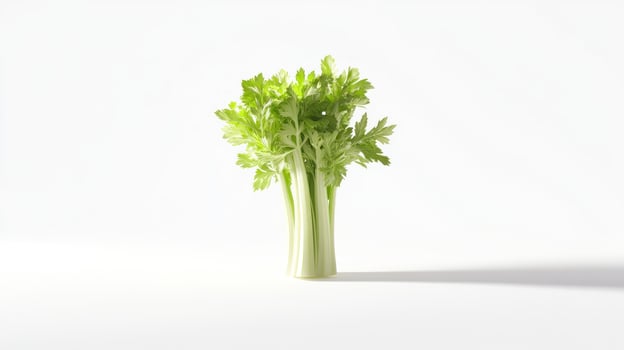 A celery plant is shown in a white vase photo