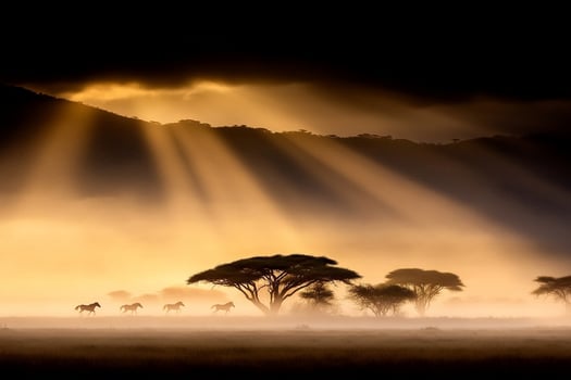 Sunbeams shine through the clouds over a field with animals photo