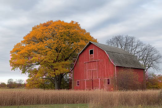 A red barn and tree in a field photo