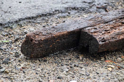 Long aged coconut wood with blackish brown fibrous texture photo