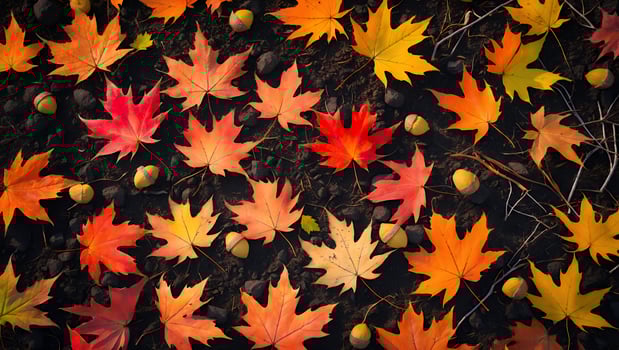 Colorful autumn leaves scattered on the ground, showcasing vibrant hues in a serene forest setting photo