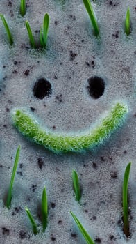 Smiling Sprout Surfaces Through Frothy Springtime Awakening. photo
