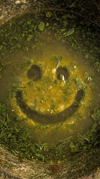 A Cheerful Surprise Hidden in a Bowl of Green Herbs and Broth photo