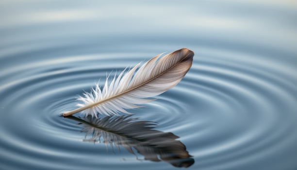 Feather Floating on Calm Water Surface Creating Gentle Ripples in Nature Environment photo
