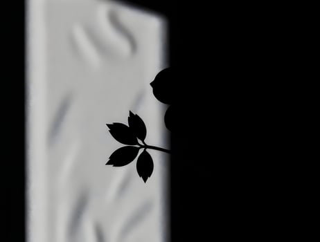 Dramatic Silhouette Leaf Shadow Against Textured Light Background photo